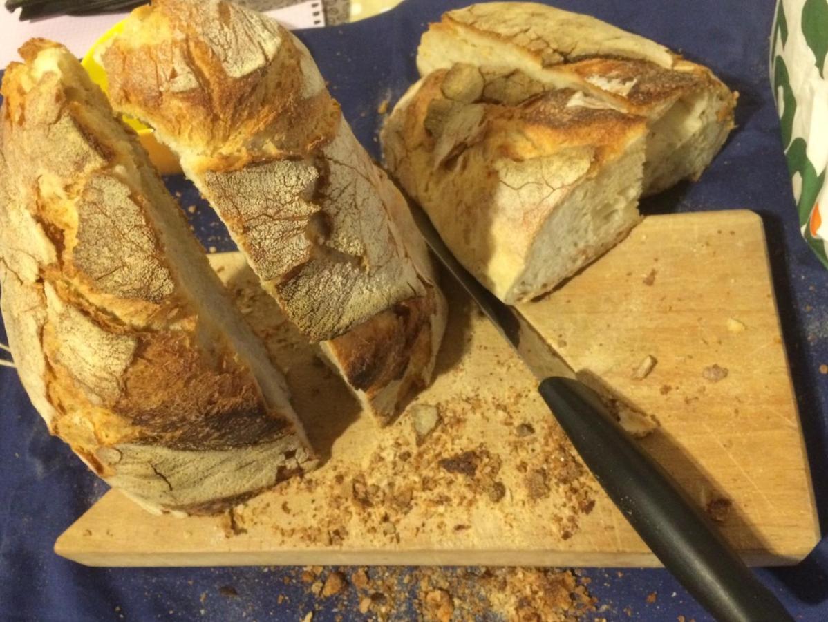 Bed and Breakfast Il Gelsomino Frasso Sabino Zewnętrze zdjęcie