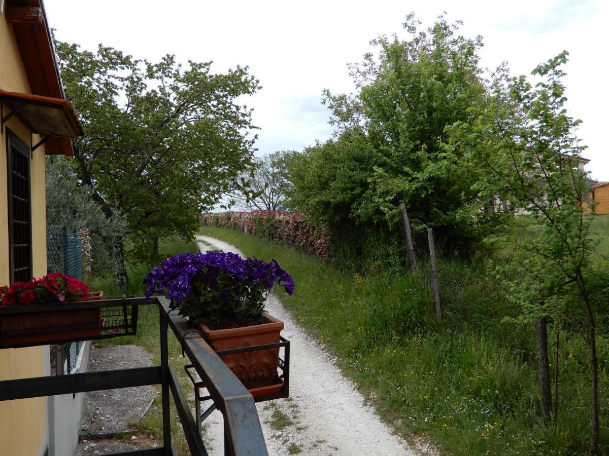 Bed and Breakfast Il Gelsomino Frasso Sabino Zewnętrze zdjęcie